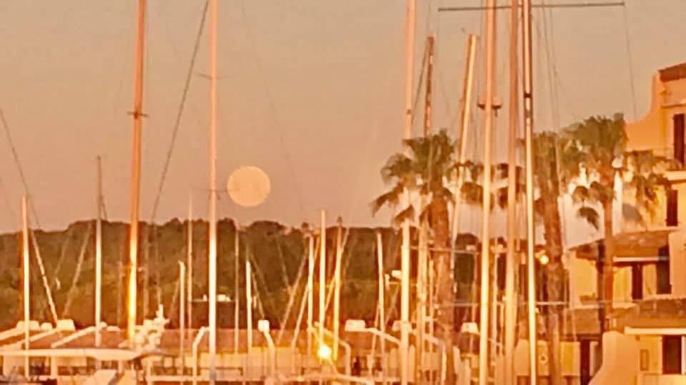 Logement Insolite Dans Le Golfe De Saint Tropez Cogolin Kültér fotó